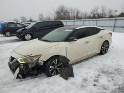 Salvage cars for sale at London, ON auction: 2017 Nissan Maxima 3.5S