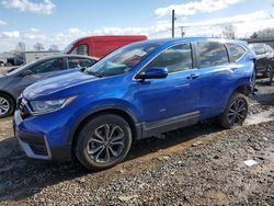 Salvage cars for sale at Hillsborough, NJ auction: 2022 Honda CR-V EXL