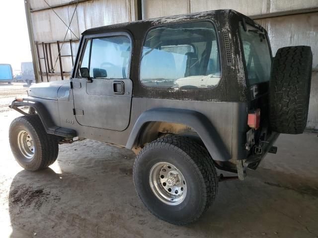 1993 Jeep Wrangler / YJ