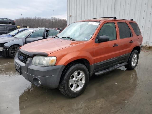 2007 Ford Escape XLT