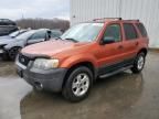 2007 Ford Escape XLT