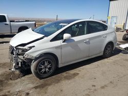 Salvage cars for sale at Albuquerque, NM auction: 2010 Toyota Prius