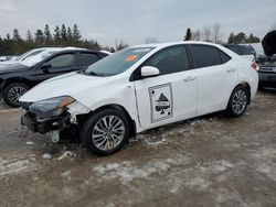 2019 Toyota Corolla L en venta en Bowmanville, ON