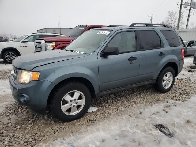 2010 Ford Escape XLT