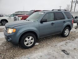 Salvage cars for sale at Wayland, MI auction: 2010 Ford Escape XLT