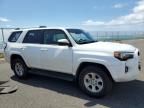 2024 Toyota 4runner SR5/SR5 Premium