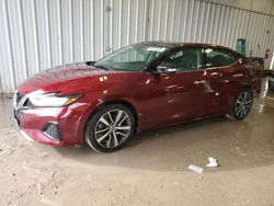 Salvage cars for sale at Franklin, WI auction: 2019 Nissan Maxima S