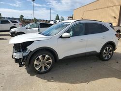 Ford Escape pla salvage cars for sale: 2024 Ford Escape Platinum