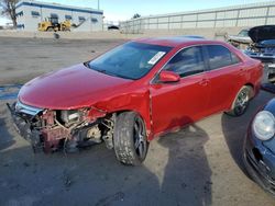 Vehiculos salvage en venta de Copart Albuquerque, NM: 2013 Toyota Camry L