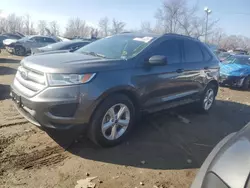 Salvage cars for sale at Baltimore, MD auction: 2016 Ford Edge SE