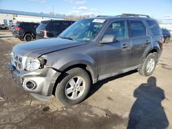 Salvage cars for sale at Pennsburg, PA auction: 2011 Ford Escape XLT