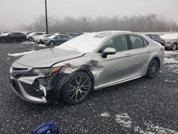 Salvage cars for sale from Copart Baltimore, MD: 2021 Toyota Camry SE