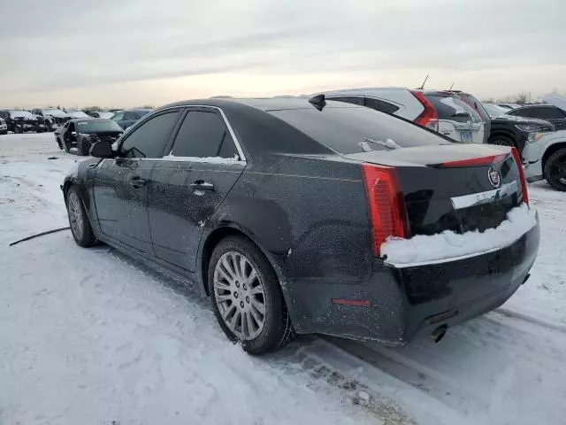 2011 Cadillac CTS Premium Collection