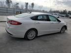 2013 Ford Fusion SE Phev