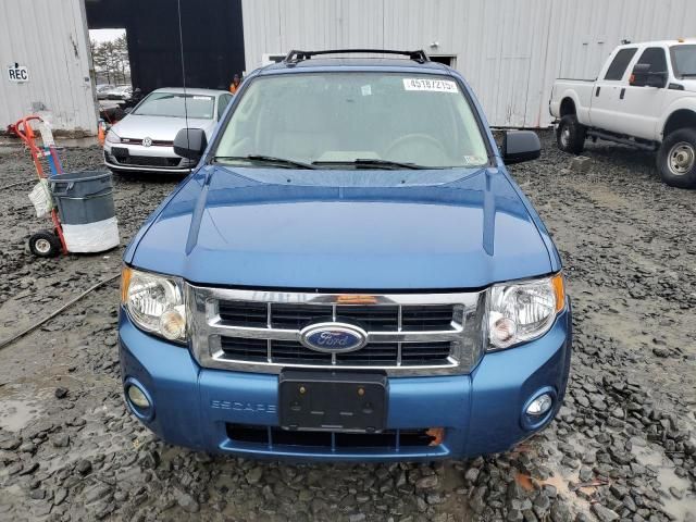 2009 Ford Escape XLT