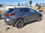 2024 Lexus NX 350 Base