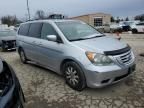 2010 Honda Odyssey EXL