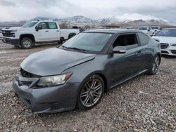 Scion Vehiculos salvage en venta: 2013 Scion TC