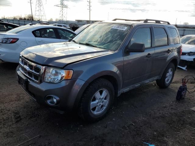 2010 Ford Escape XLT