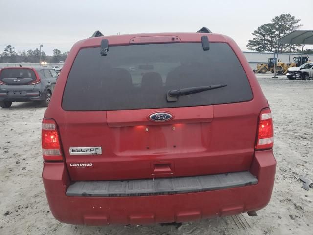 2010 Ford Escape XLT