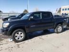 2009 Toyota Tacoma Double Cab