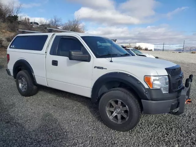 2010 Ford F150