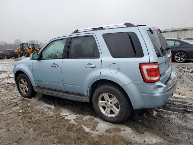 2008 Ford Escape HEV