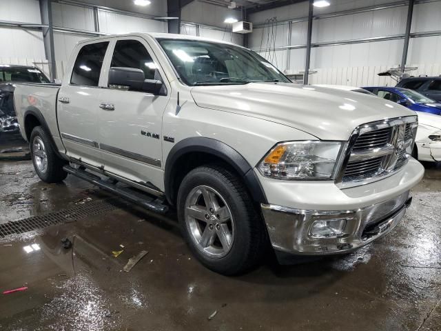 2010 Dodge RAM 1500