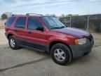 2004 Ford Escape XLS