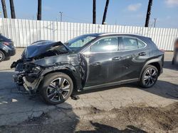 Lexus ux 250h ba Vehiculos salvage en venta: 2024 Lexus UX 250H Base