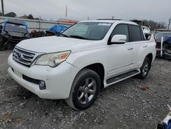 Salvage cars for sale at Montgomery, AL auction: 2011 Lexus GX 460 Premium