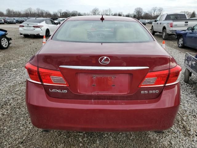 2010 Lexus ES 350