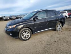 Salvage cars for sale at American Canyon, CA auction: 2011 Lexus RX 450H