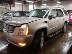 Cadillac Escalade salvage cars for sale: 2008 Cadillac Escalade Luxury