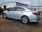 2013 Lexus ES 300H