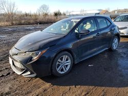 Salvage cars for sale at auction: 2019 Toyota Corolla SE