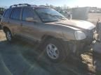 2004 Hyundai Santa FE GLS