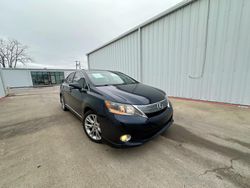 Lexus hs Vehiculos salvage en venta: 2010 Lexus HS 250H