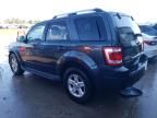 2008 Ford Escape HEV