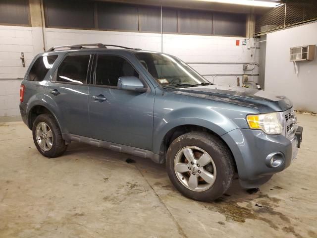 2010 Ford Escape Limited