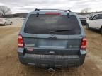 2011 Ford Escape Hybrid