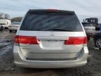 2008 Honda Odyssey EXL