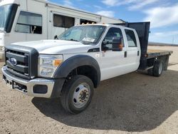 Vehiculos salvage en venta de Copart Adelanto, CA: 2016 Ford F550 Super Duty