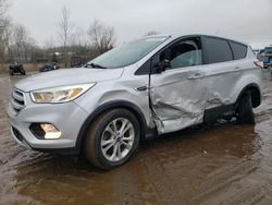 Salvage cars for sale at Columbia Station, OH auction: 2017 Ford Escape SE