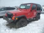 2001 Jeep Wrangler / TJ Sport