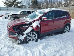 Salvage cars for sale at Davison, MI auction: 2014 Ford Escape Titanium