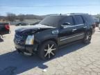 2009 Cadillac Escalade Hybrid