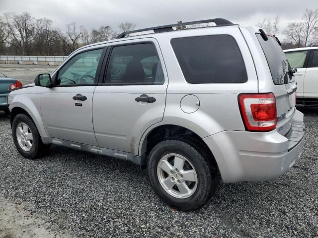 2010 Ford Escape XLT