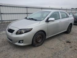 Run And Drives Cars for sale at auction: 2009 Toyota Corolla Base