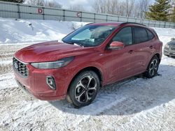 Salvage cars for sale at Davison, MI auction: 2023 Ford Escape ST Line Elite